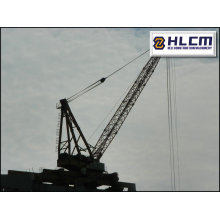 Derrick Crane 09 com SGS (hlcm)